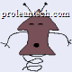 Alzbeta