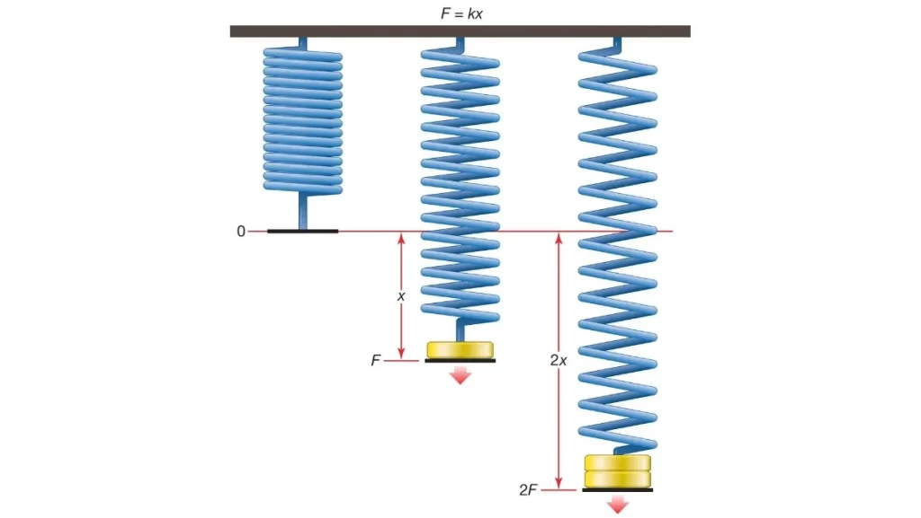 Diagram showing Hooke's law with springs and forces.