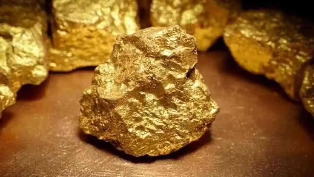A close-up of a large, rough gold